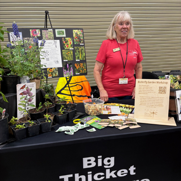Volunteer standing behind a native plant outreach table at Champions for Nature