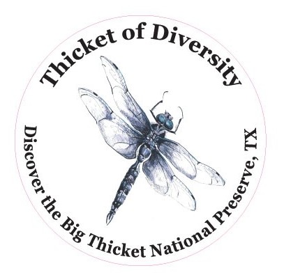 Dragonfly TOD Logo