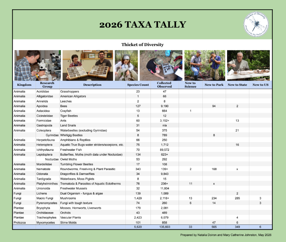 Spreadsheet-style preview of the 2026 Thicket of Diversity Taxa Tally