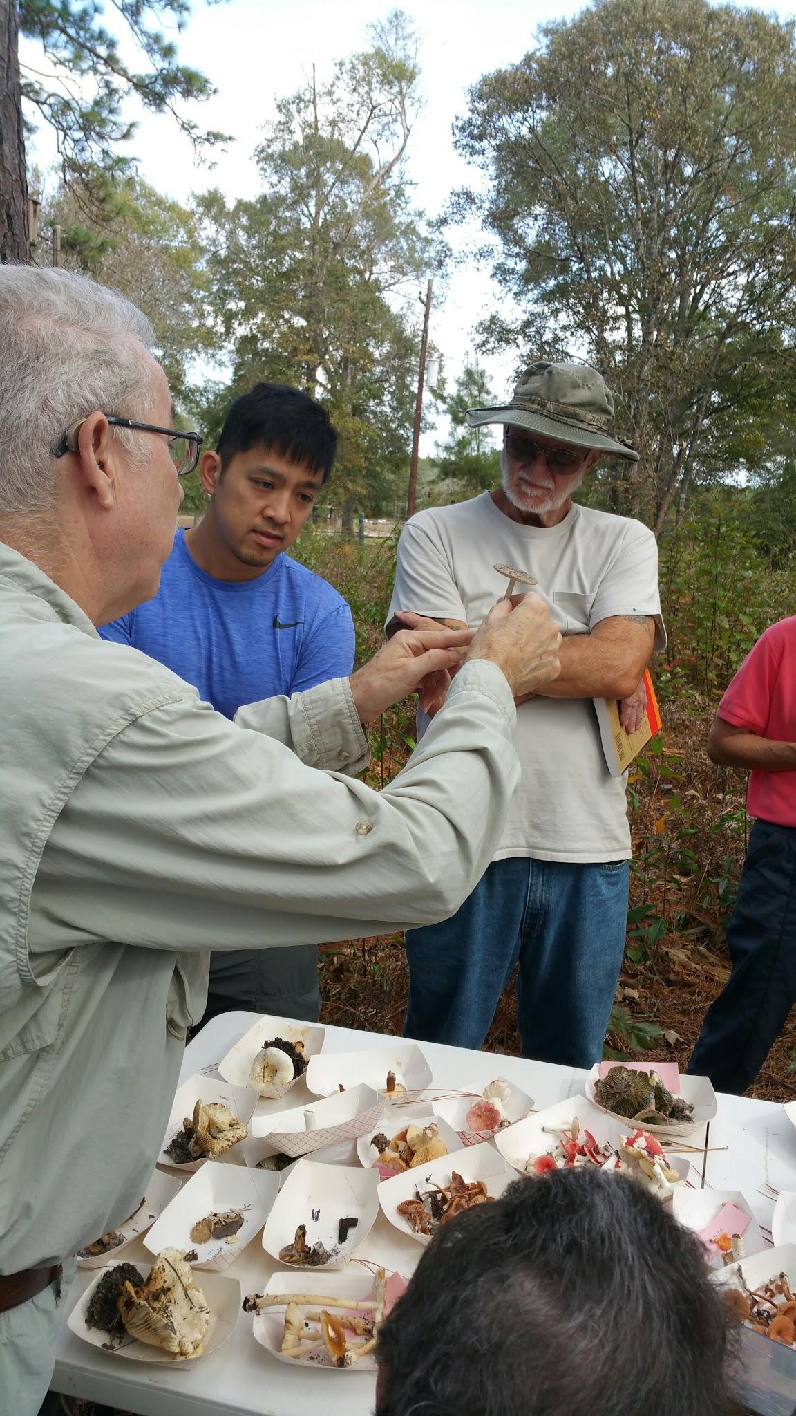Researcher David Lewis teaching students about macrofungi.