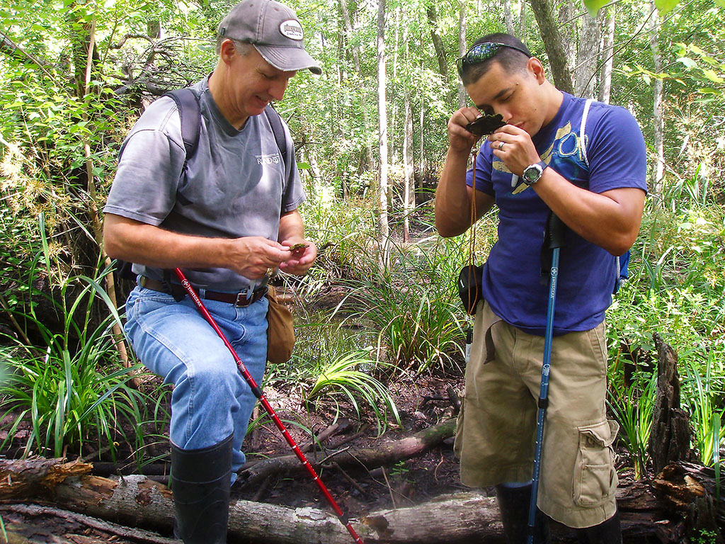 Two field researchers examining a specimen in the Big Thicket.